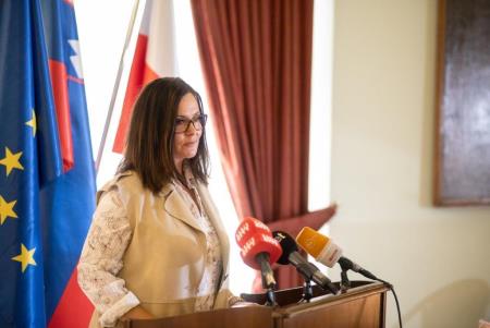 Konvencija županov 1